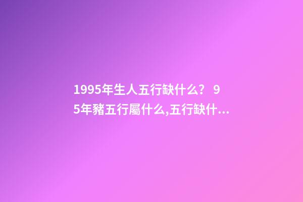 1995年生人五行缺什么？ 95年豬五行屬什么,五行缺什么